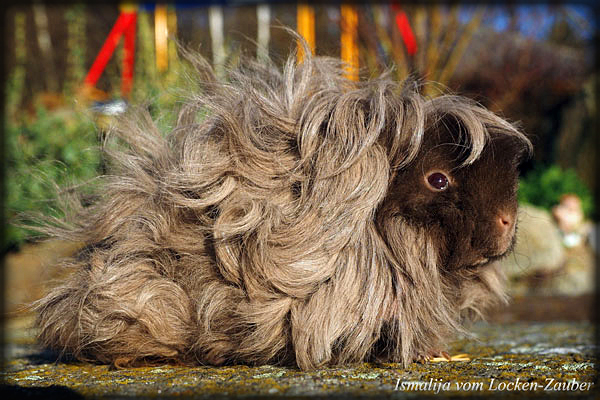 ISMALIJA vom Locken-Zauber