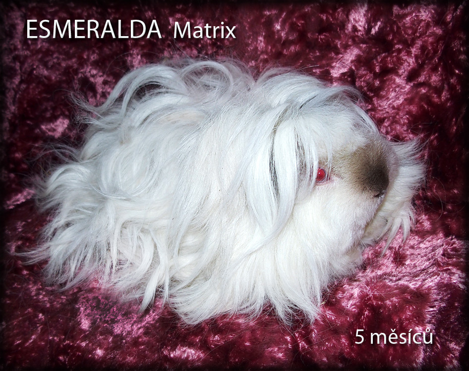 Esmeralda
